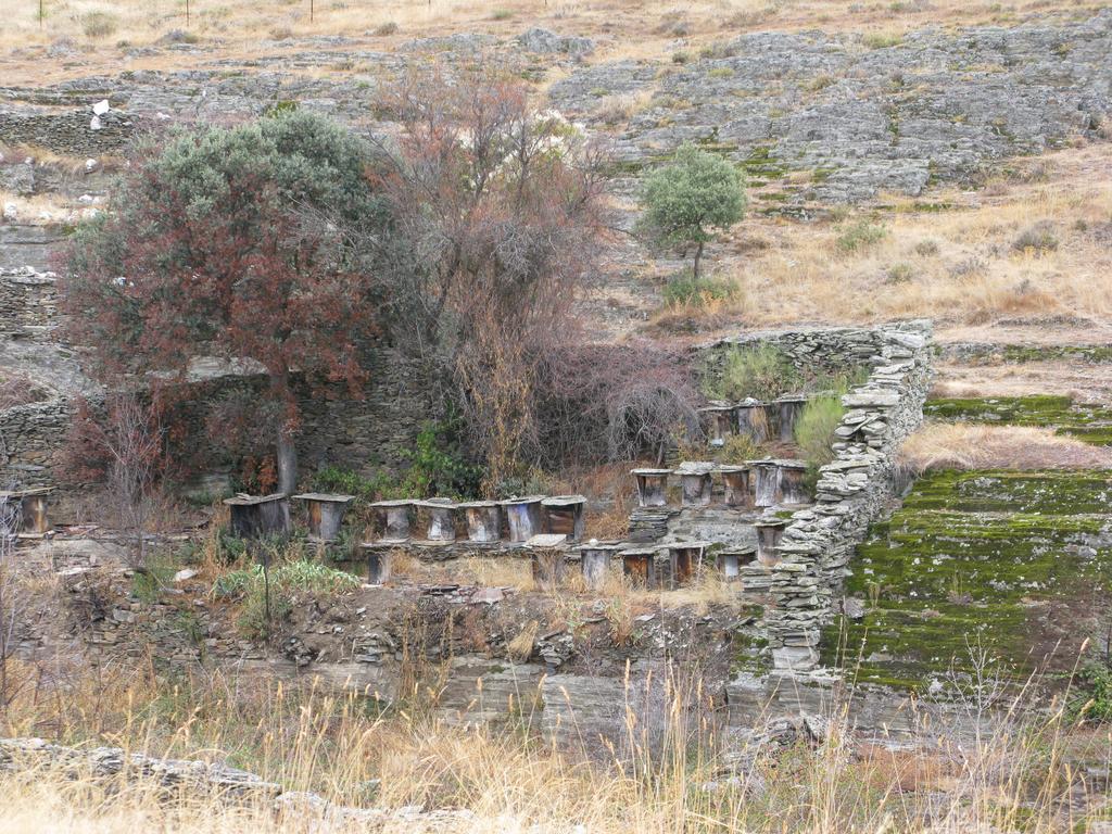Hosteria Camino Luyego de Somoza Dış mekan fotoğraf