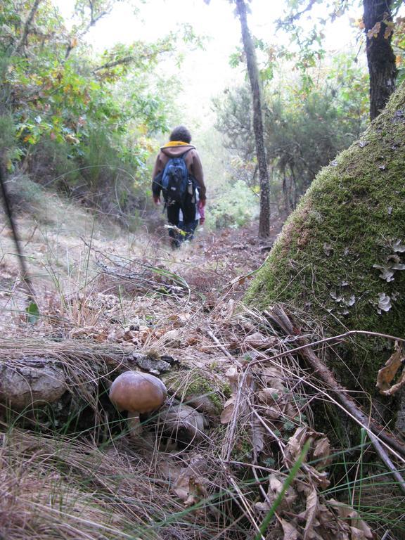 Hosteria Camino Luyego de Somoza Dış mekan fotoğraf